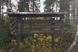 Huchenbesatz und Äschenbesatz 2020